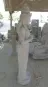 morepic-5